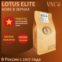 Кофе VNC Робуста Lotus Elite